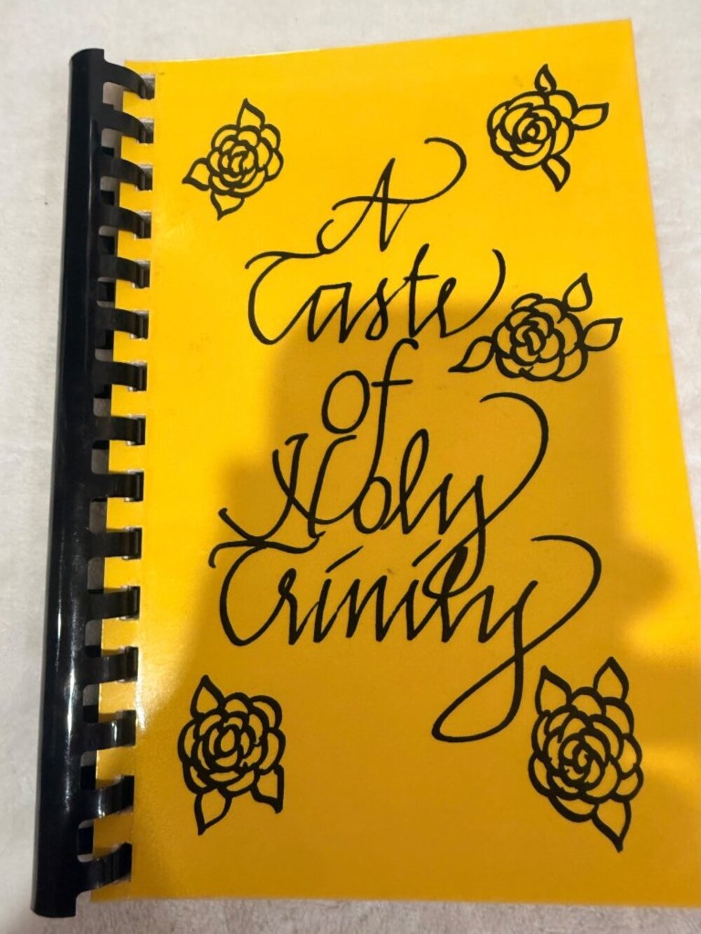 A Taste Of Holy Trinity Spiral-Bound Recipe Book Women Of ELCA Holy Trinity Luth